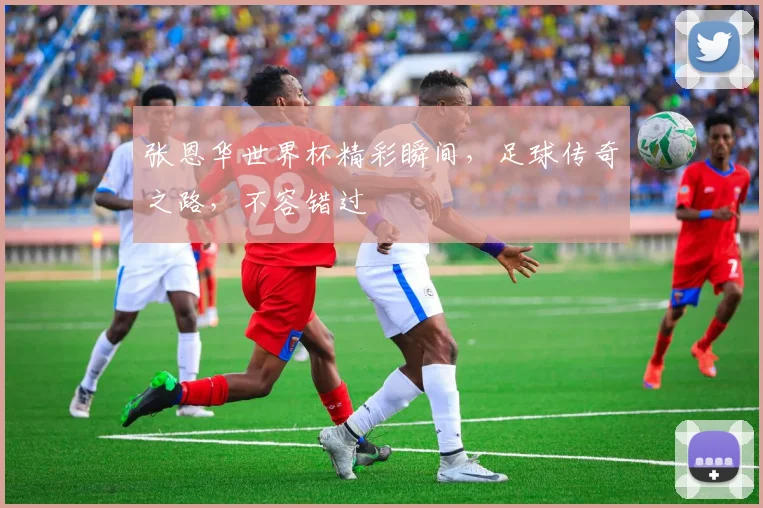 张恩华世界杯精彩瞬间，足球传奇之路，不容错过